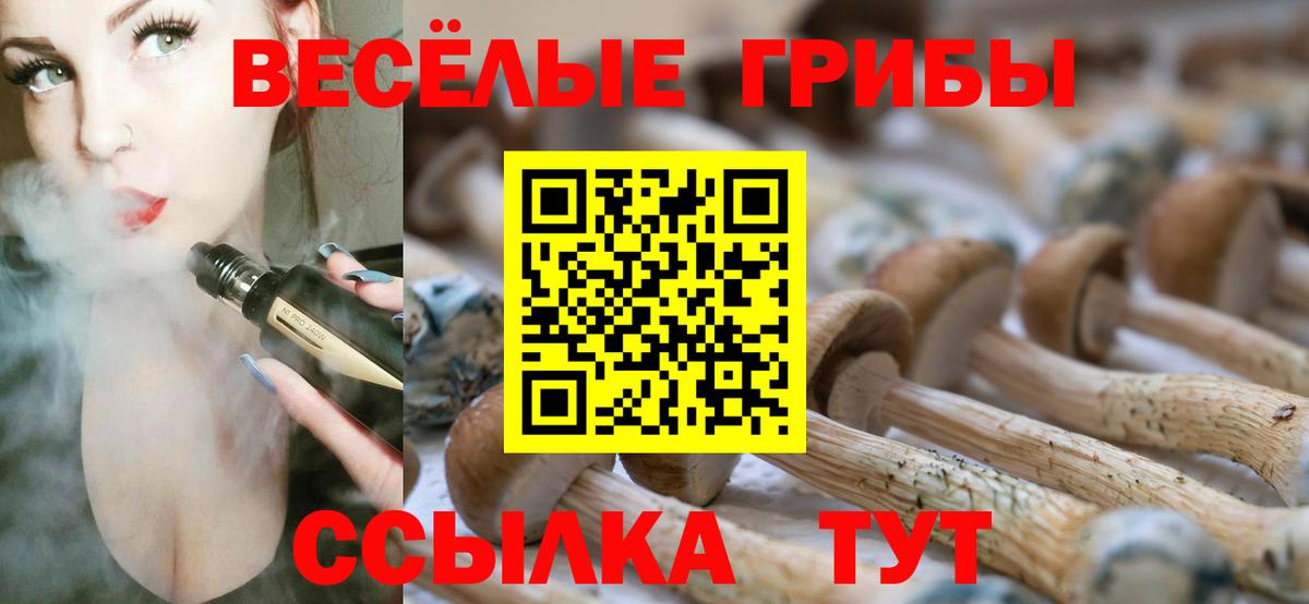 Россия  Псилоцибиновые грибы прущие грибы  продажа наркотиков  Галлюциногенные грибы прущие грибы  Вход с VPN 